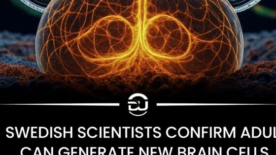neurogeneza la adulti
