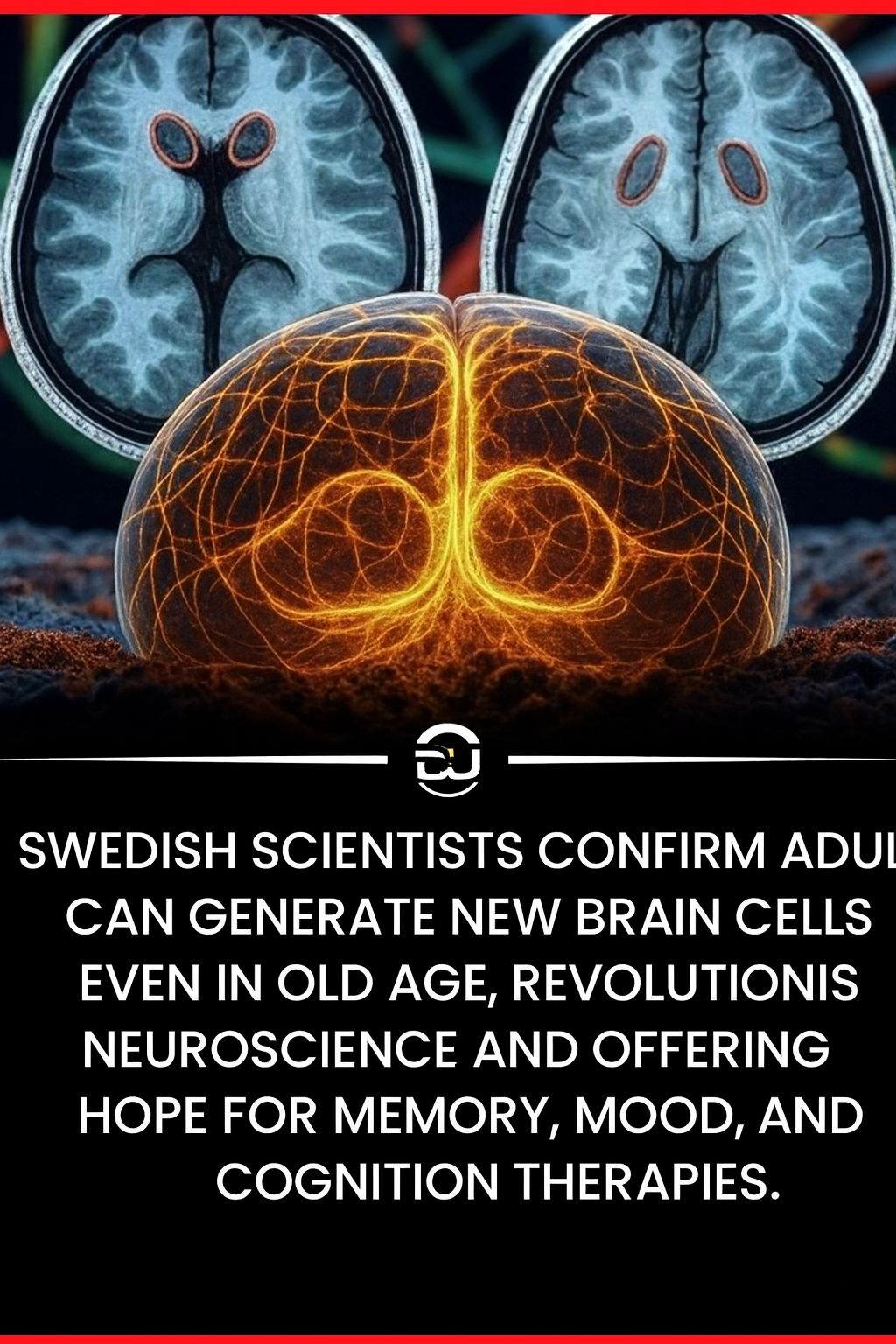 neurogeneza la adulti